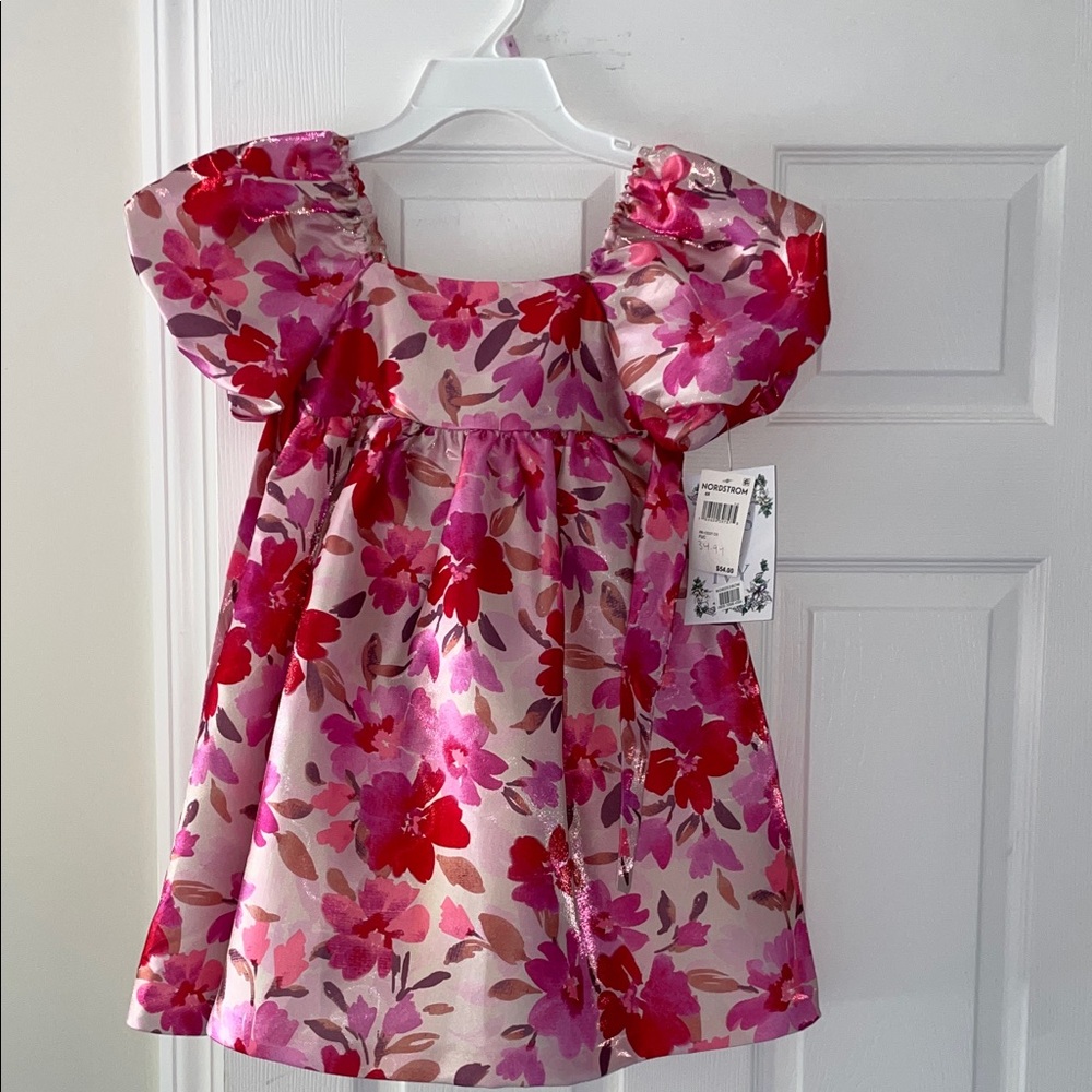 Iris & Ivy Pink and Red Floral Dress